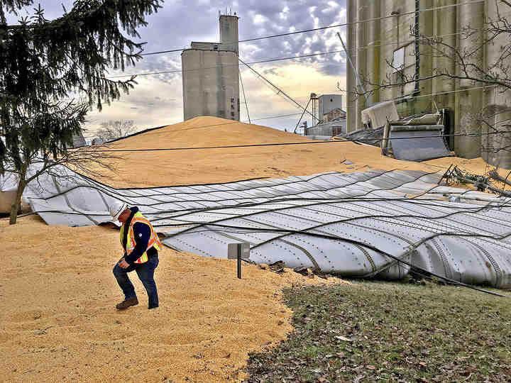 An AT&T worker walks through thousands of bushels of corn that covered Ohio 571 when a grain bin at Miami Valley Feed and Grain collapsed in New Carlisle. Over 10 thousand tons of corn flooded the area when the steel container failed, knocking down building and utility poles. Authorities say it could take weeks to clean up the mess and reopen the road.   (Bill Lackey / Springfield News-Sun)